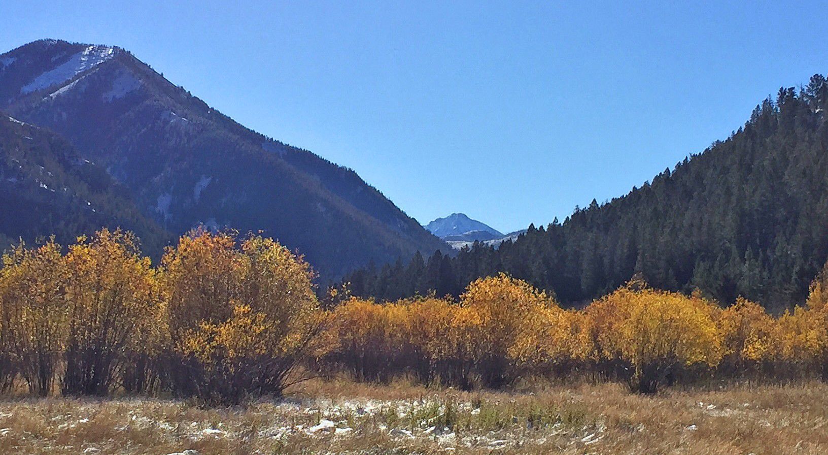 Up the valley